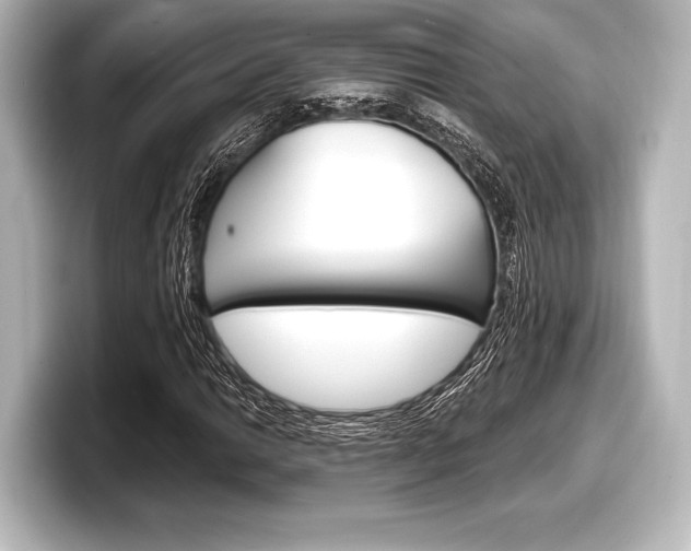 X0000098171014200804241005