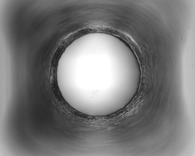 X0000098171016200804241005