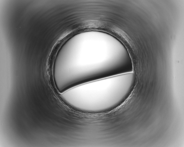 X0000098171018200804241005