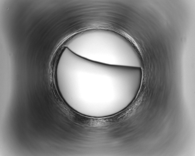 X0000098171019200804241005