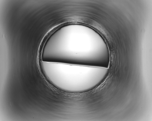 X0000098171020200804241005