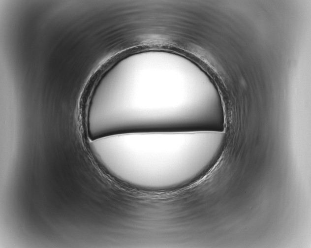 X0000098171022200804241005