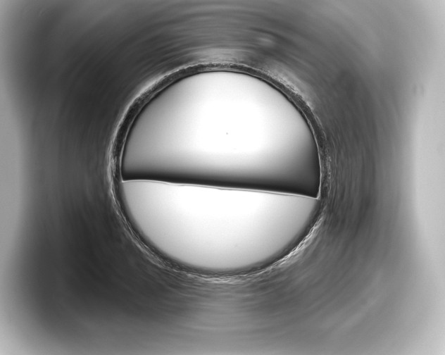 X0000098171029200804241005