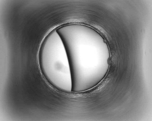 X0000098171030200804241005