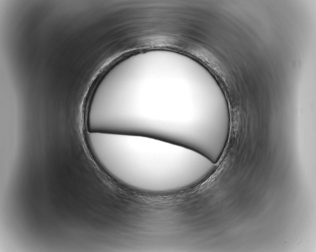 X0000098171031200804241005