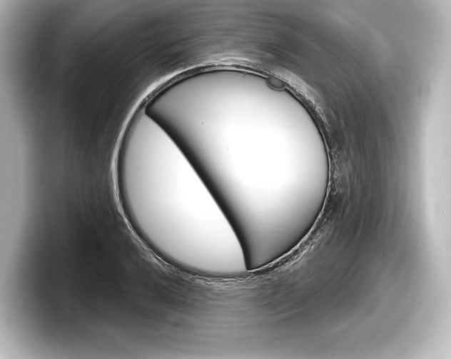 X0000098171032200804241005