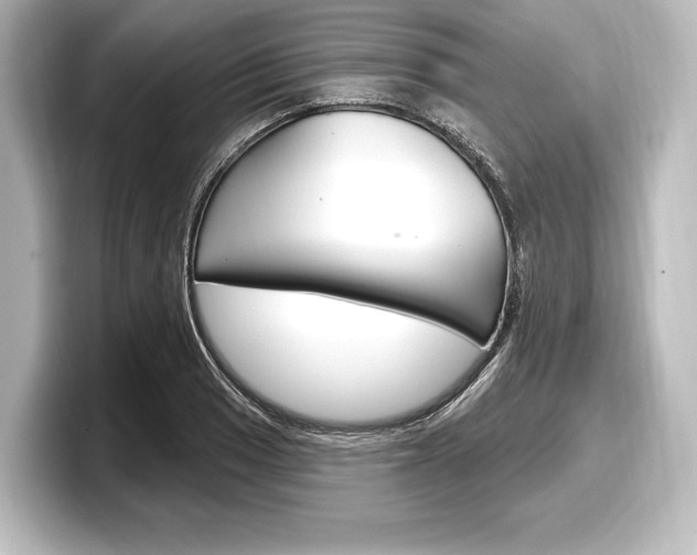 X0000098171033200804241005
