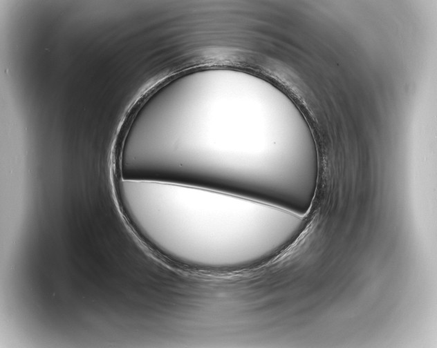 X0000098171034200804241005
