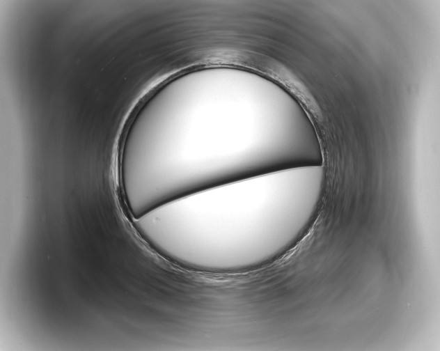 X0000098171036200804241005