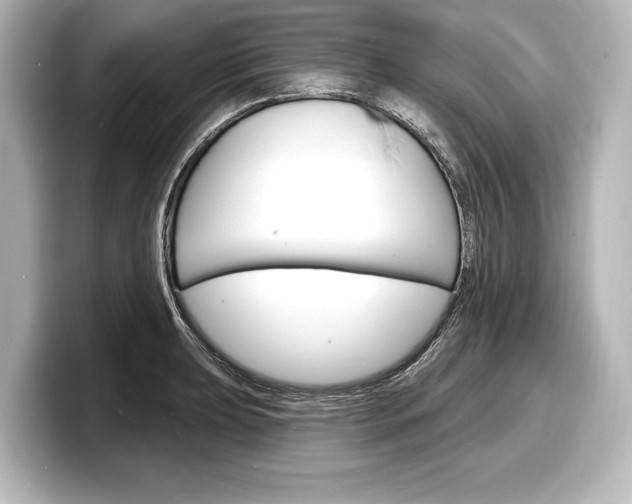 X0000098171039200804241005