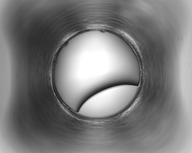 X0000098171041200804241005