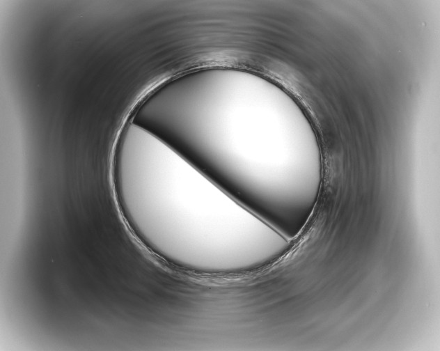 X0000098171042200804241005