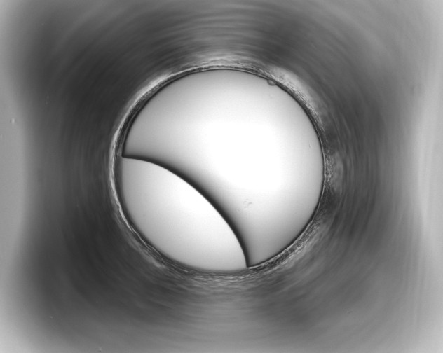 X0000098171043200804241005