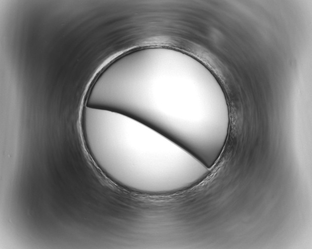 X0000098171044200804241005