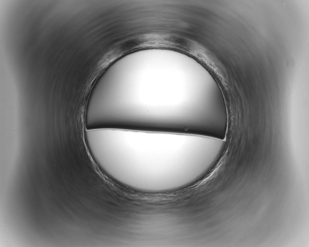 X0000098171049200804241005