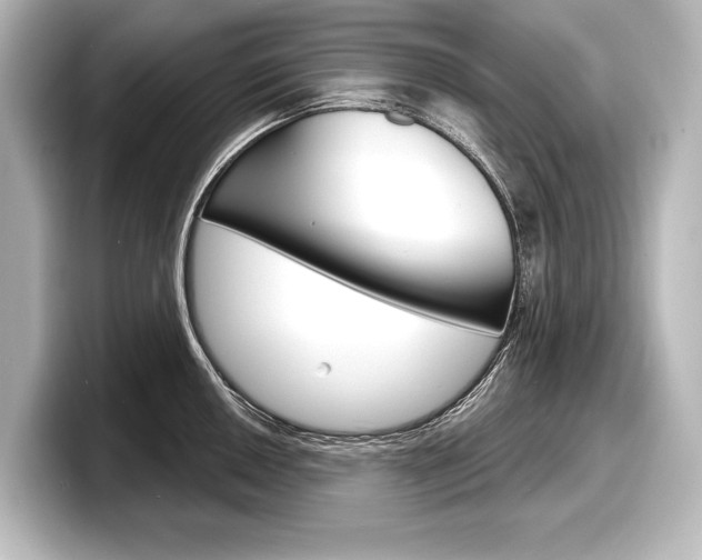 X0000098171050200804241005