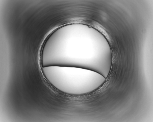X0000098171051200804241005