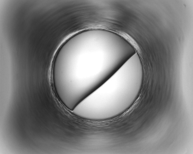 X0000098171052200804241005