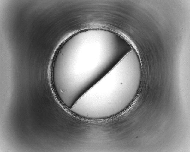 X0000098171053200804241005