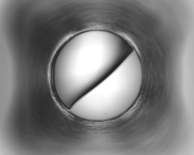X0000098171054200804241005