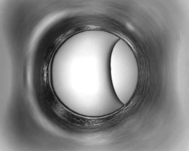 X0000098171055200804241005