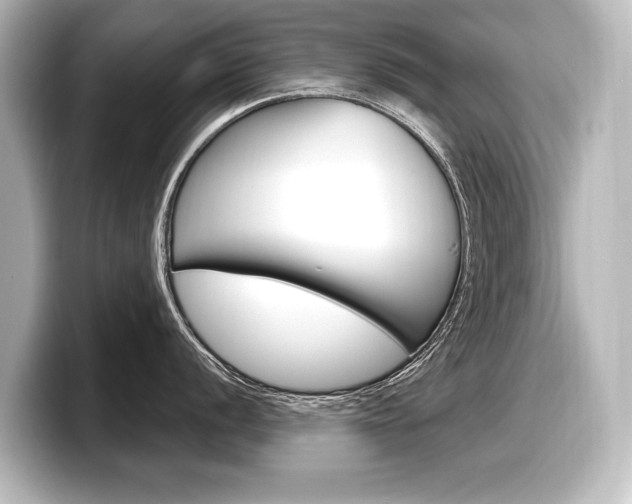 X0000098171056200804241005