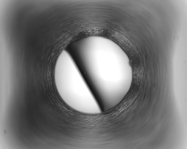 X0000098171058200804241005