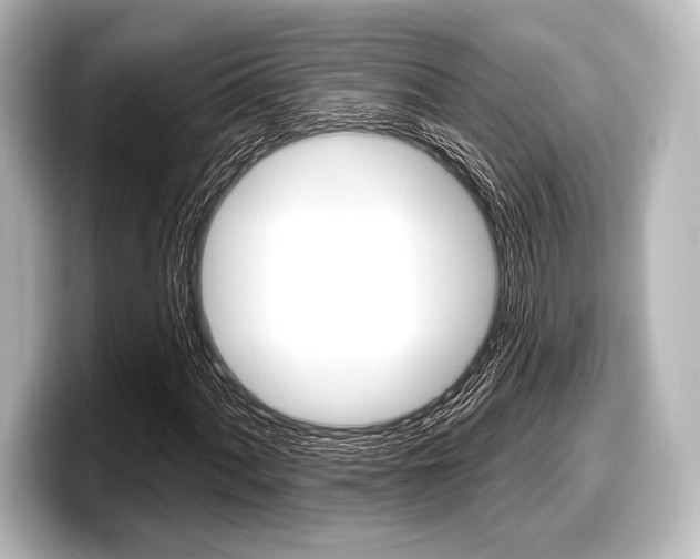X0000098171060200804241005