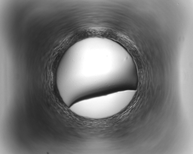 X0000098171061200804241005