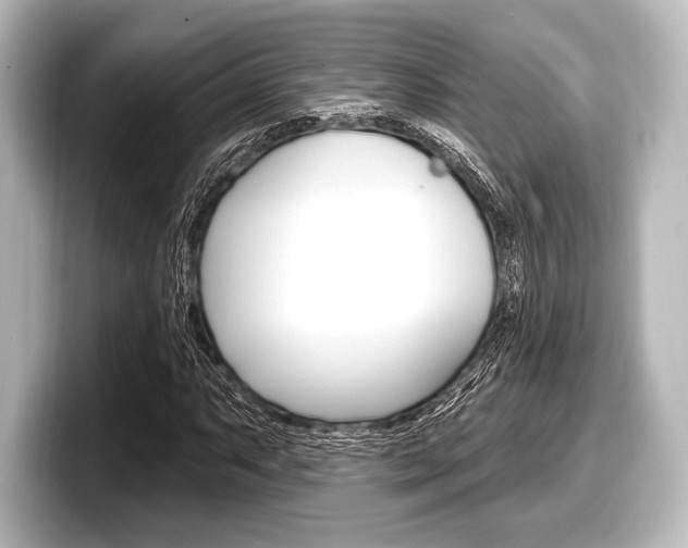 X0000098171063200804241005