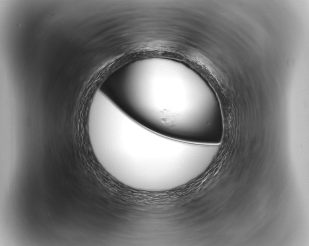 X0000098171064200804241005