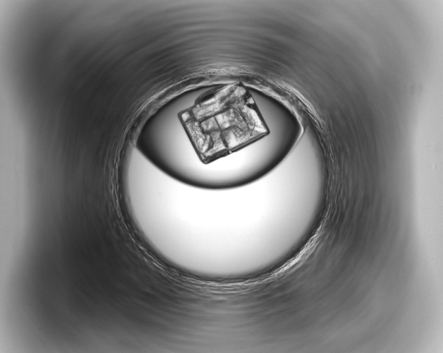 X0000098171065200804241005