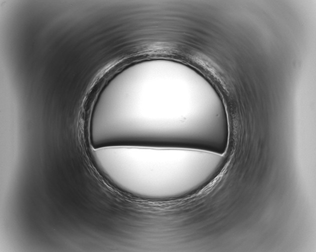 X0000098171066200804241004
