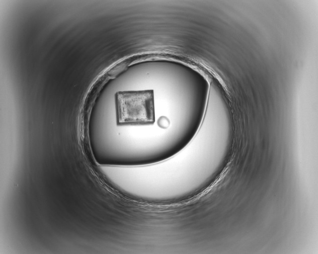 X0000098171069200804241004