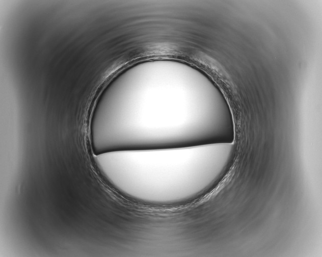 X0000098171073200804241004