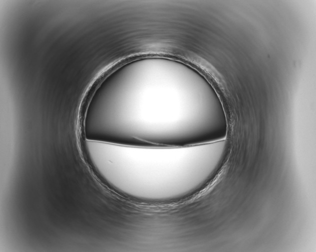 X0000098171077200804241004