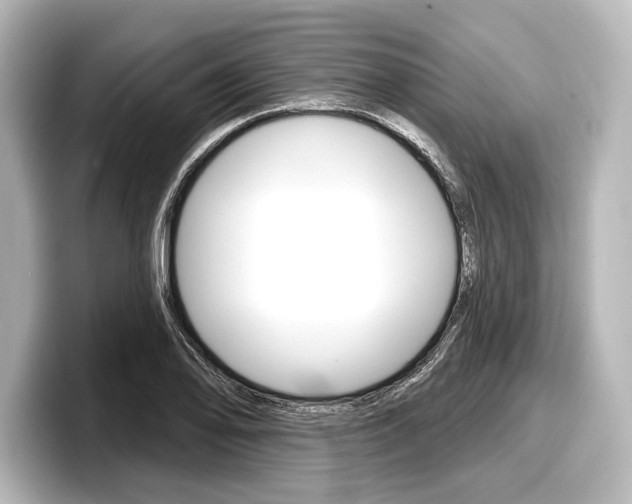 X0000098171078200804241004