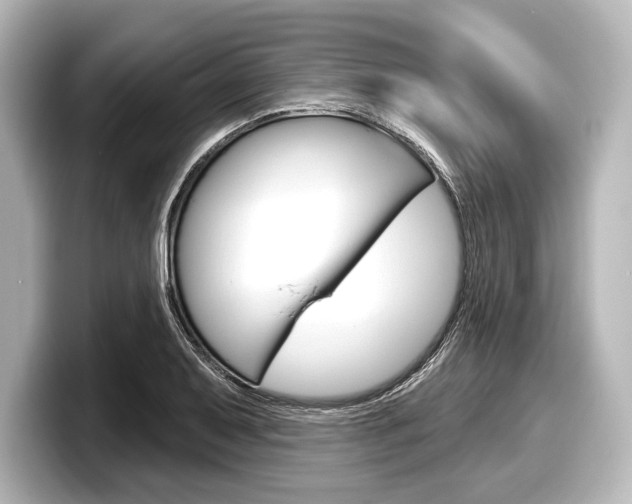 X0000098171079200804241004