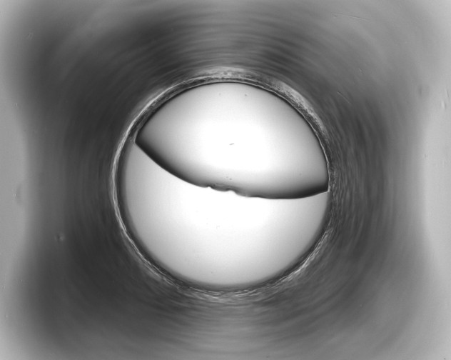 X0000098171082200804241004