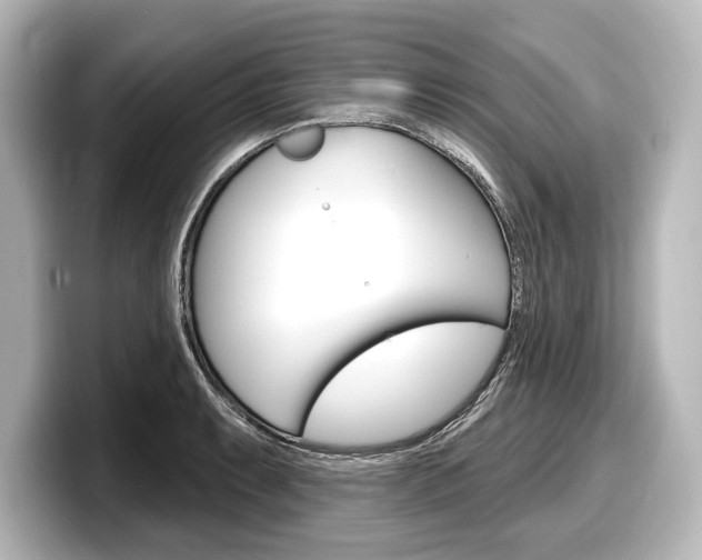X0000098171087200804241004