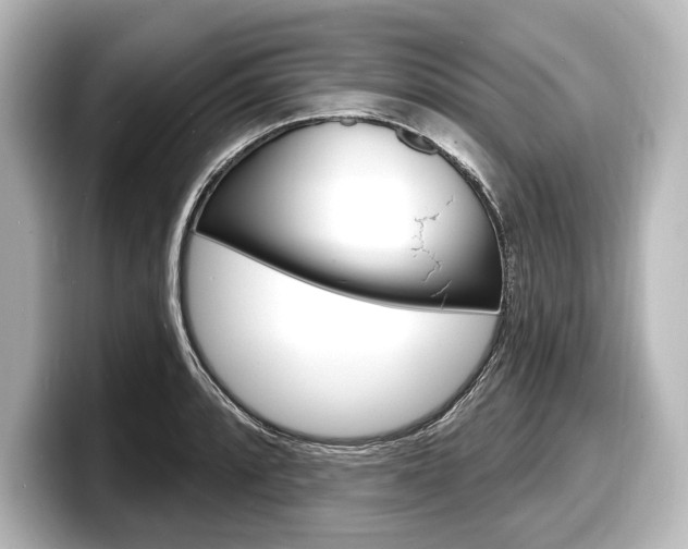 X0000098171088200804241004