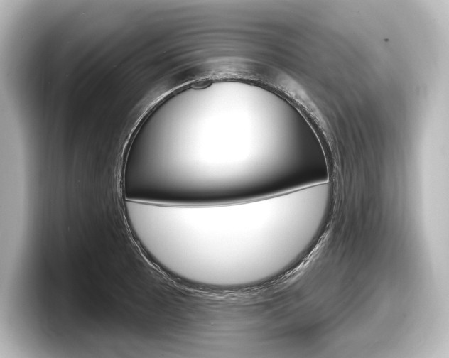 X0000098171089200804241004