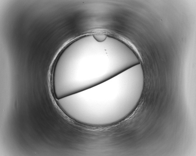 X0000098171091200804241004