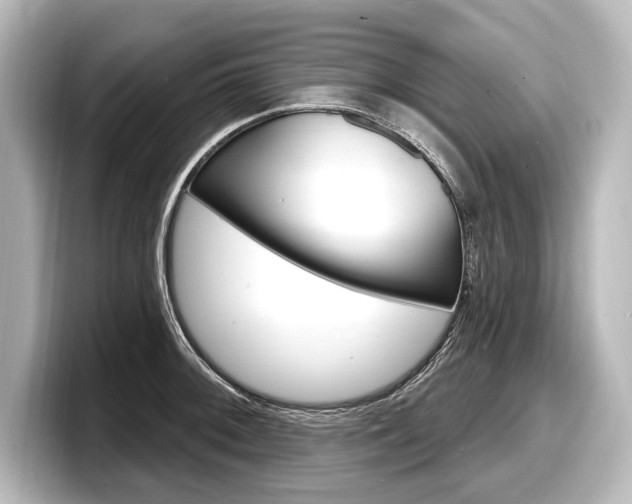 X0000098171092200804241004