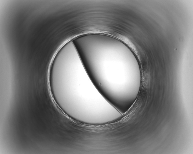 X0000098171096200804241004