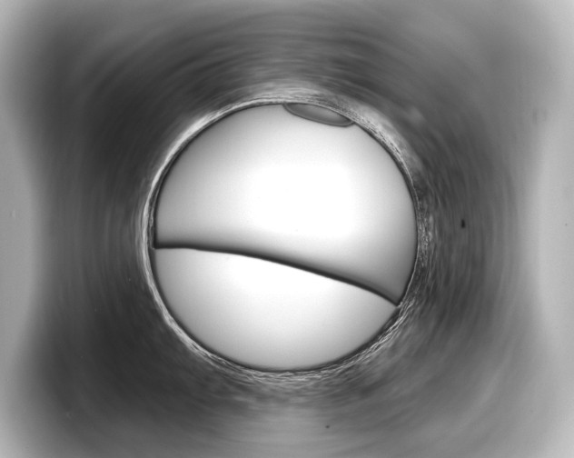X0000098171103200804241004