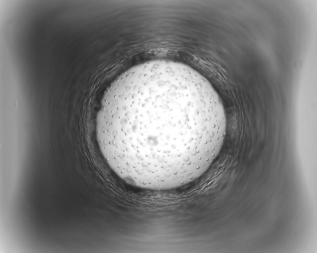 X0000098171105200804241003
