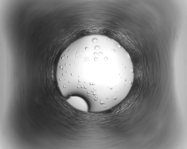 X0000098171106200804241003