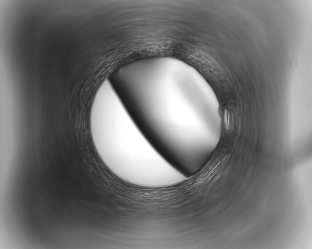 X0000098171107200804241003