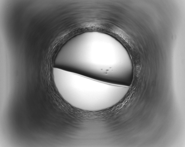 X0000098171111200804241003